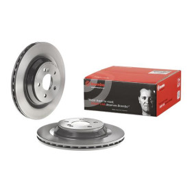 BREMBO Brzdový kotouč větraný Ø320mm 09.A818.11_thumb2