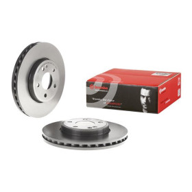 BREMBO Brzdový kotouč větraný Ø295mm 09.B436.41_thumb2