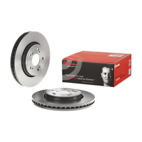 BREMBO Brzdový kotouč větraný Ø293mm 09.A866.11_thumb2