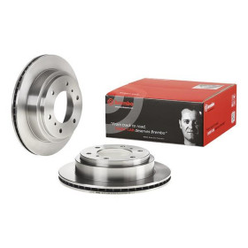 BREMBO Brzdový kotouč větraný Ø300mm 09.A450.11_thumb2