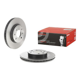 BREMBO Brzdový kotouč větraný Ø256mm 09.C173.11_thumb2