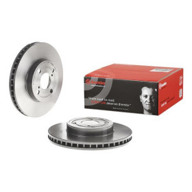 BREMBO Brzdový kotouč větraný Ø255mm 09.9824.11_thumb2