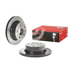 BREMBO Brzdový kotouč větraný Ø300mm 09.C663.11_thumb2