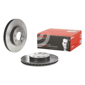 BREMBO Brzdový kotouč větraný Ø256mm 09.C171.11_thumb2