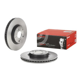 BREMBO Brzdový kotouč větraný Ø295mm 09.9817.31_thumb2