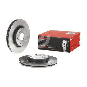 BREMBO Brzdový kotouč větraný Ø293mm 09.C313.11_thumb2