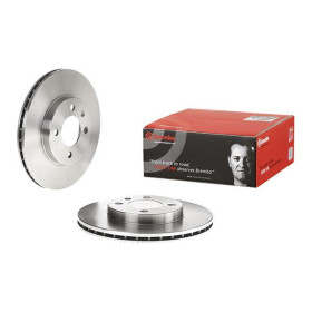 BREMBO Brzdový kotouč větraný Ø256mm 09.5166.11_thumb2