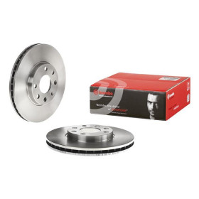 BREMBO Brzdový kotouč větraný Ø256mm 09.7628.11_thumb2