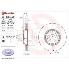 BREMBO Brzdový kotouč větraný Ø300mm 09.9895.20_thumb2