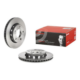 BREMBO Brzdový kotouč větraný Ø256mm 09.A597.11_thumb2