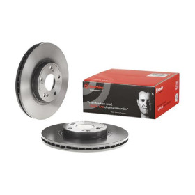 BREMBO Brzdový kotouč větraný Ø300mm 09.A272.11_thumb2