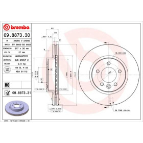 BREMBO Brzdový kotouč větraný Ø317mm 09.8873.31_thumb2