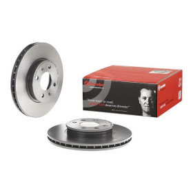 BREMBO Brzdový kotouč větraný Ø256mm 09.A445.11_thumb2