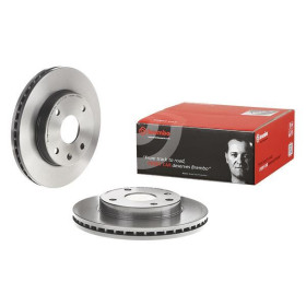 BREMBO Brzdový kotouč větraný Ø256mm 09.9483.11_thumb2