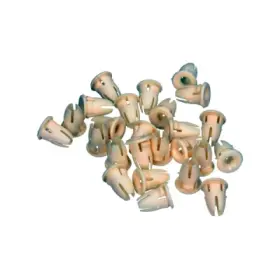 product-image-233955-card