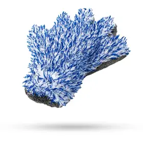 LIQUID ELEMENTS Wash Mitt Double Grab - Mycí rukavice