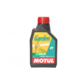 MOTUL GARDEN 4T SAE 30 600ml