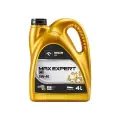 ORLEN OIL MAX EXPERT C3 5W-40 4L